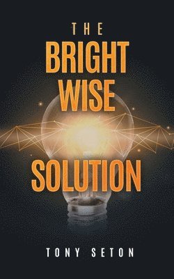 Bright Wise Solution