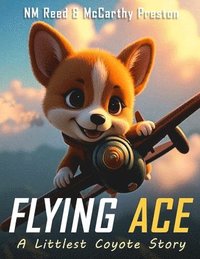 bokomslag Flying Ace