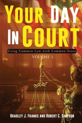 bokomslag Your Day In Court: Using Common Law with Common Sense