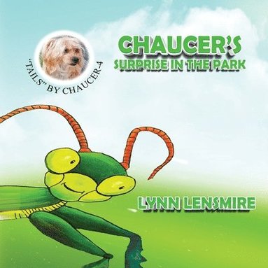 bokomslag Chaucer's Surprise in the Park