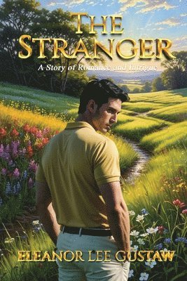 bokomslag The Stranger: A Story of Romance and Intrigue