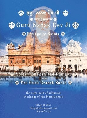 bokomslag Guru Nanak Dev Ji