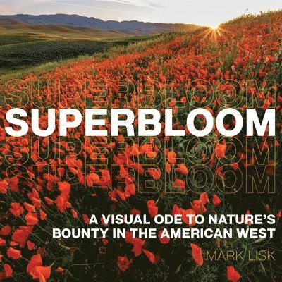 Superbloom: A Visual Ode to Nature's Bounty in the American West 1