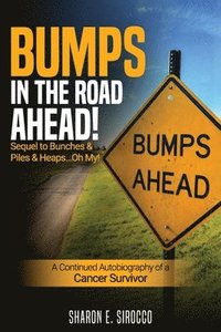 bokomslag Bumps in the Road Ahead
