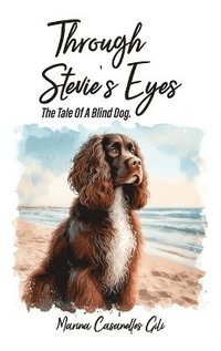 bokomslag Through Stevie's eyes