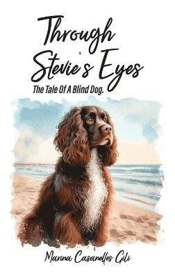 bokomslag Through Stevie's eyes