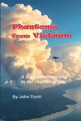 bokomslag Phantoms from Vietnam