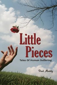 bokomslag Little Pieces: Tales of Human Suffering