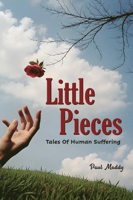 bokomslag Little Pieces: Tales of Human Suffering