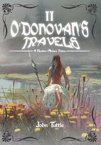 bokomslag O'Donovan's Travels
