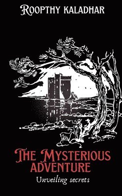bokomslag mysterious adventure