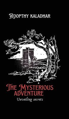bokomslag mysterious adventure