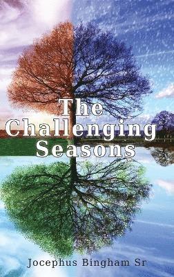 bokomslag Challenging Seasons