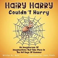 bokomslag Hairy Harry Couldn't Hurry: An Imaginarium Of Imaginactions That Take Place In The Hot Days Of Summer