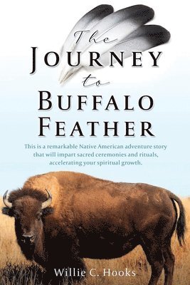bokomslag Journey to Buffalo Feather