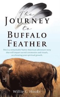 bokomslag Journey to Buffalo Feather
