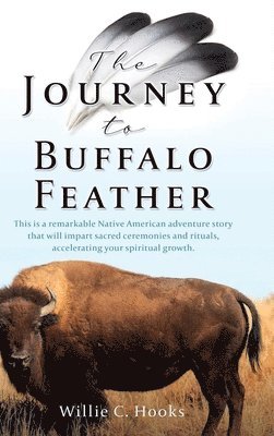bokomslag Journey to Buffalo Feather