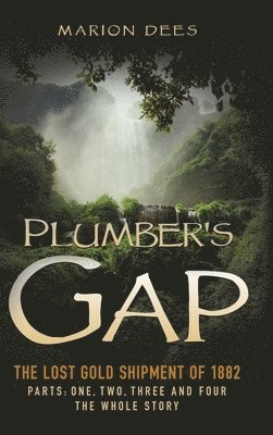 bokomslag Plumber's Gap