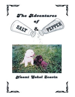 bokomslag The Adventures of Salt & Pepper