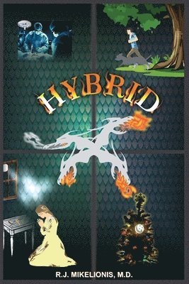 Hybrid 1