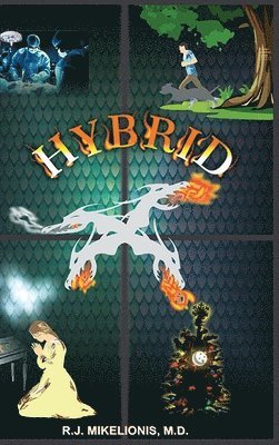 Hybrid