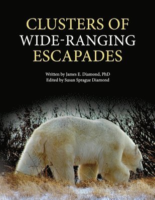 James E Diamond - Clusters of Wide-Ranging Escapades, Häftad
