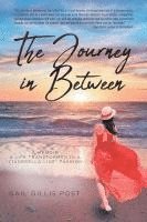 bokomslag Journey in Between