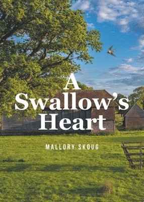 A Swallow's Heart 1