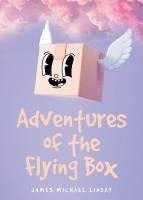 bokomslag Adventures of the Flying Box