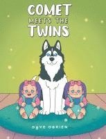 Comet Meets The Twins 1