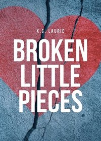bokomslag Broken Little Pieces