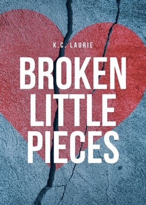 bokomslag Broken Little Pieces