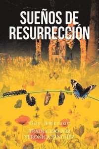 bokomslag Sueños de Resurrección