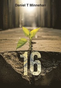 bokomslag 16