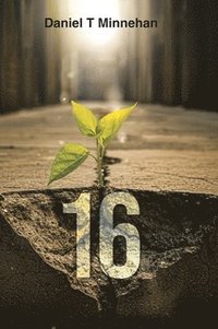 bokomslag 16