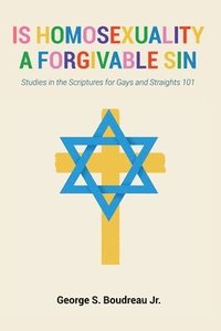 bokomslag Is Homosexuality a Forgivable Sin