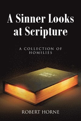 Sinner Looks at Scripture
