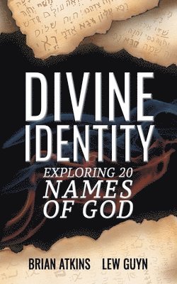 bokomslag Divine Identity