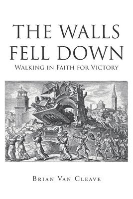 bokomslag Walls Fell Down