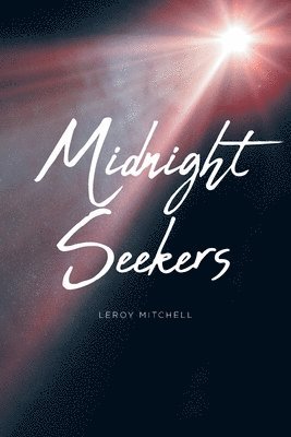 bokomslag Midnight Seekers