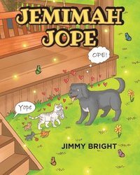 bokomslag Jemimah Jope