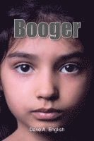 bokomslag Booger