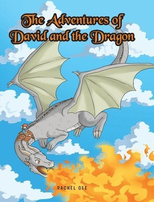 bokomslag Adventures of David and the Dragon