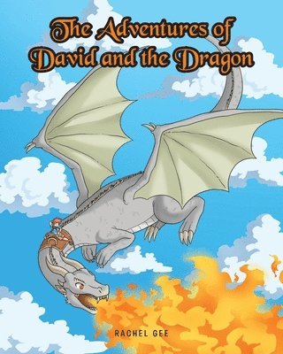 bokomslag Adventures of David and the Dragon