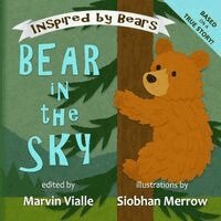 Marvin Vialle - Bear in the Sky, Häftad