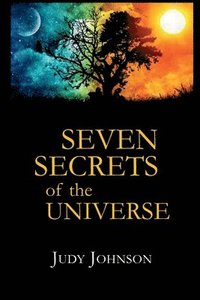 bokomslag Seven Secrets of the Universe