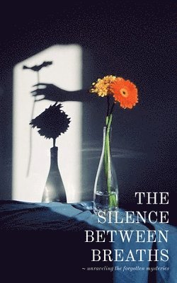 The silence between breaths 1