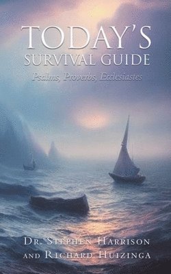 Stephen Harrison, Richard Huizinga - Today's Survival Guide, Häftad