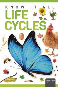 bokomslag Life Cycles