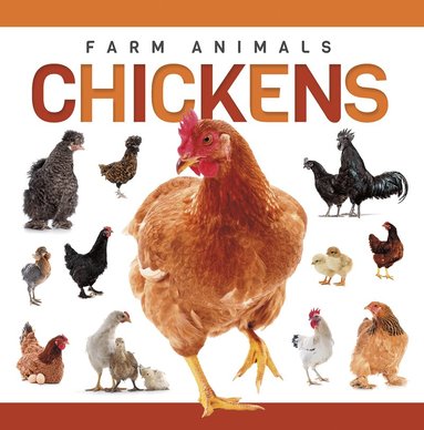 Eliza Nodes - Chickens, Inbunden